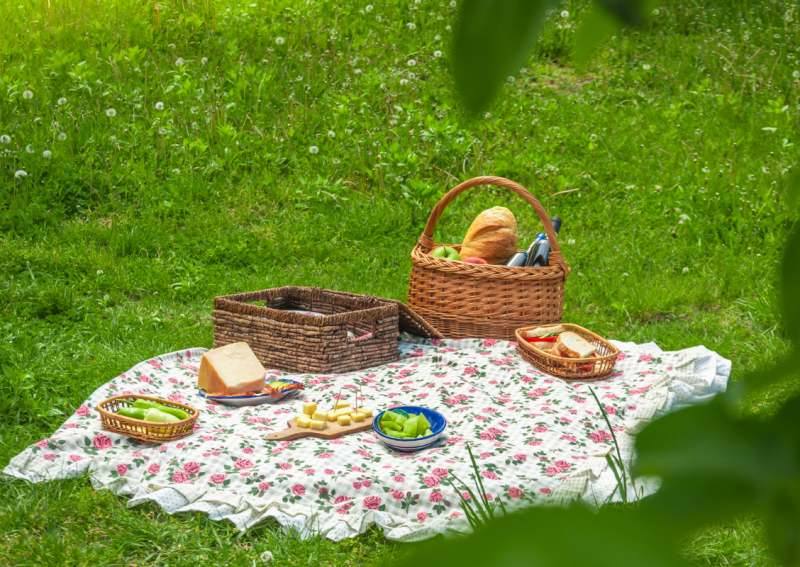 Picknick appartement amsterdam Picknick appartement amsterdam